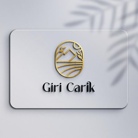 Отель Giri Carik Сидемен Экстерьер фото